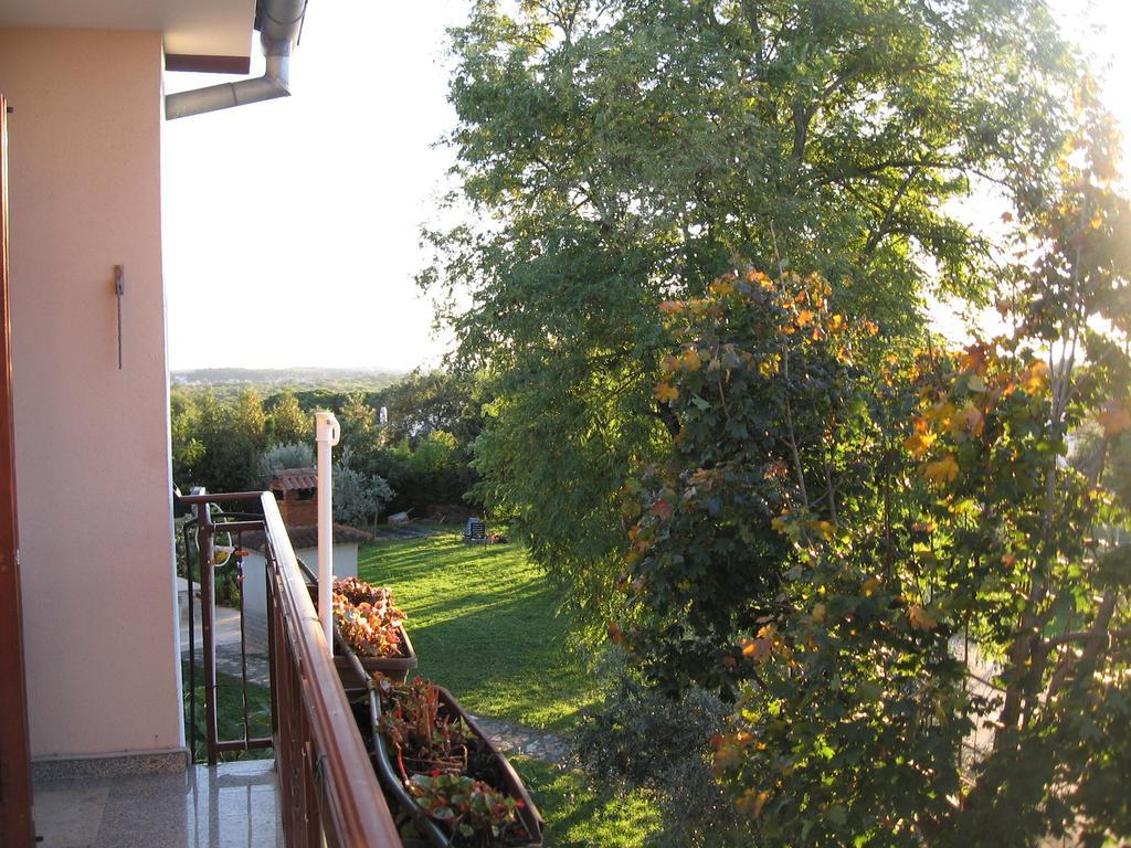 Apartments Adelita Poreč Buitenkant foto