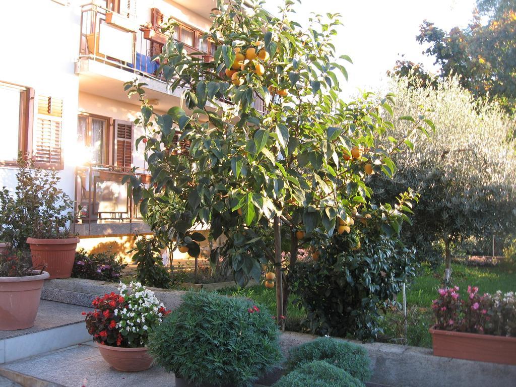 Apartments Adelita Poreč Buitenkant foto