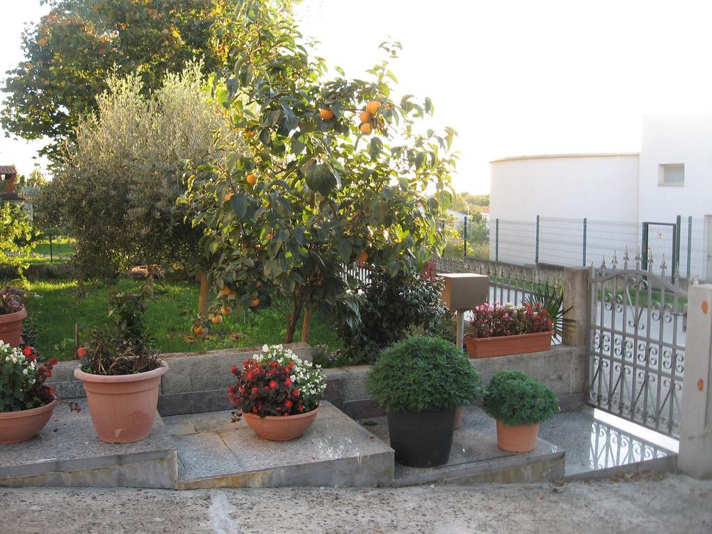 Apartments Adelita Poreč Buitenkant foto